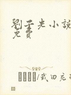 刘子光小说全文免费