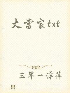 大当家txt