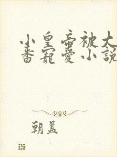 小皇帝被大臣轮番宠爱小说