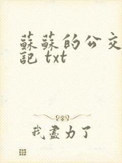 苏苏的公交车日记 txt