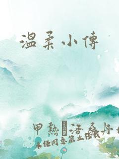 温柔小传