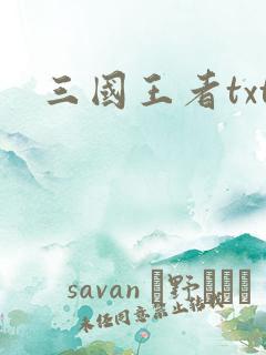 三国王者txt