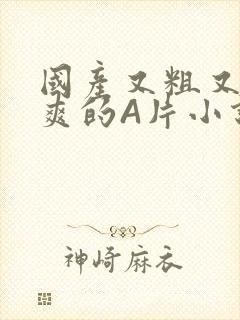 国产又粗又黄又爽的A片小说