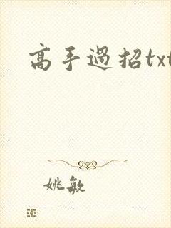 高手过招txt