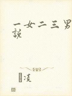 一女二三男事小说