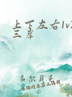 上下左右1v2三岸