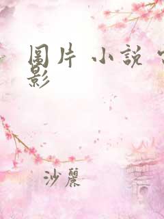 图片 小说 电影