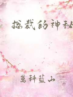 总裁的神秘情人