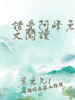 错爱阿峰免费全文阅读