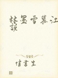 林墨雪慕江行小说