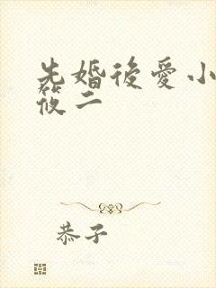 先婚后爱小说梦筱二