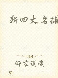 新四大名捕全集