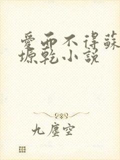 爱而不得苏路顾塬乾小说