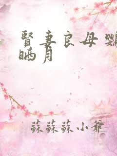 贤妻良母 鹦鹉晒月