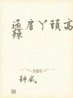 通房丫头高h肉辣