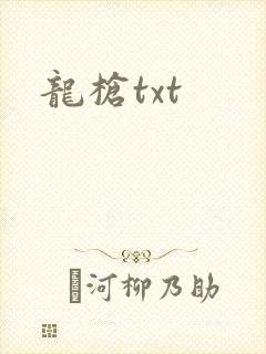 龙枪txt