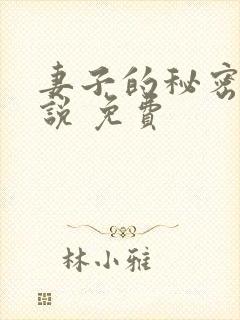 妻子的秘密 小说 免费