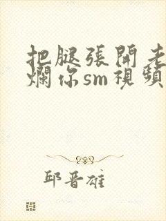 把腿张开老子臊烂你sm视频