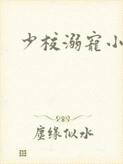 少校溺宠小小妻