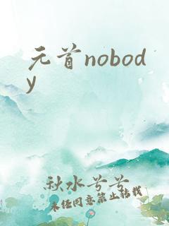 元首nobody