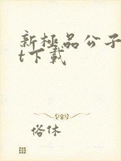 新极品公子txt下载