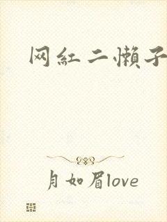 网红二懒子车祸