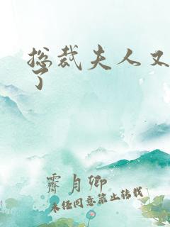 总裁夫人又征婚了