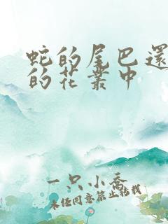 蛇的尾巴还在我的花丛中