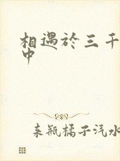 相遇于三千肉文中