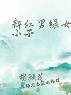新红男绿女之坏小子