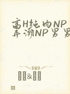 高H纯肉NP 弄潮NP男男