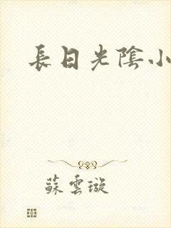 长日光阴小说