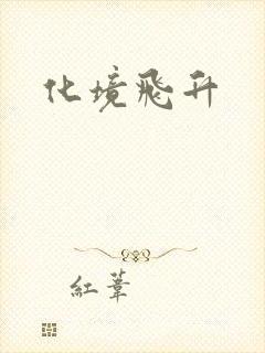化境飞升