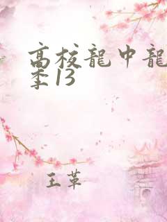 高校龙中龙第二季13