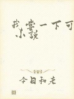 我尝一下可以吗 小说