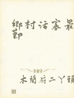 乡村活寡最新章节