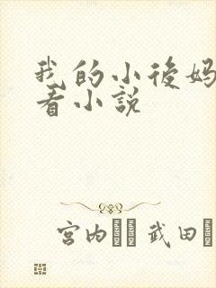 我的小后妈免费看小说