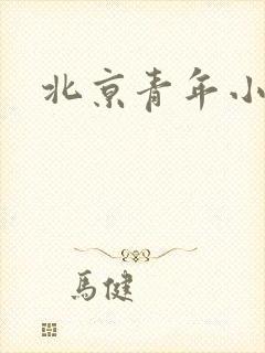 北京青年小说