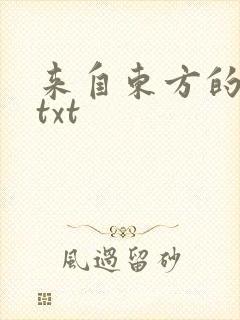 来自东方的骑士txt