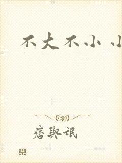 不大不小 小说