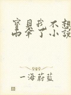 宝贝我不想带小雨伞了小说