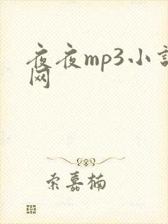 夜夜mp3小说网