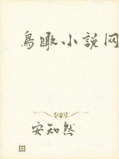鸟瞰小说网