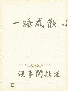 一睡成欢 小说