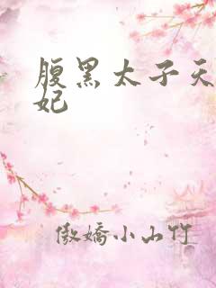 腹黑太子天降萌妃