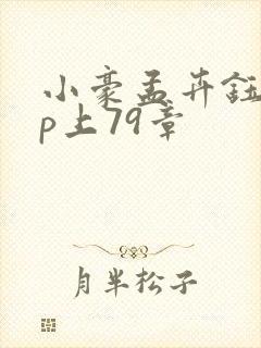 小豪孟卉钰慧三p上79章