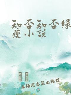 知否知否绿肥红瘦小说