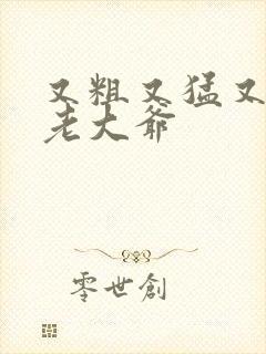 又粗又猛又大爽老大爷