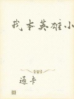 我本英雄小说