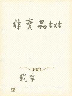 非卖品txt